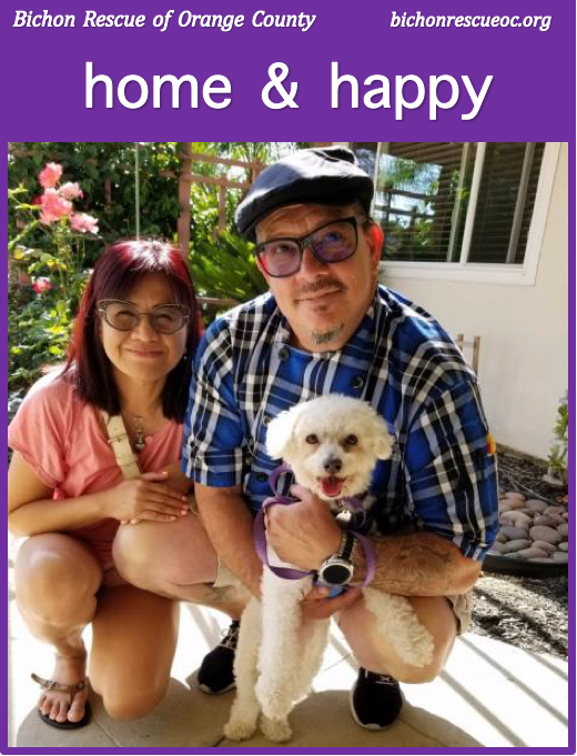 Couple smiling with their rescued dog.