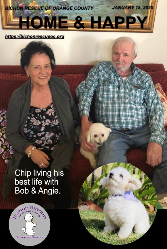 Couple with dog sitting on a couch.