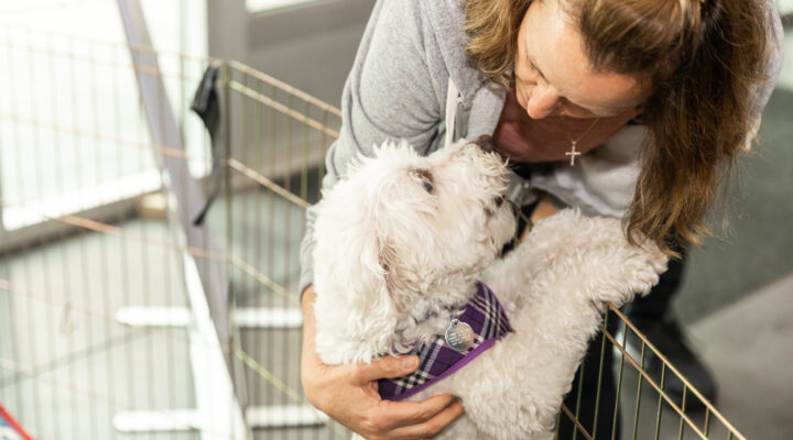 Woman cuddling a white dog affectionately.
