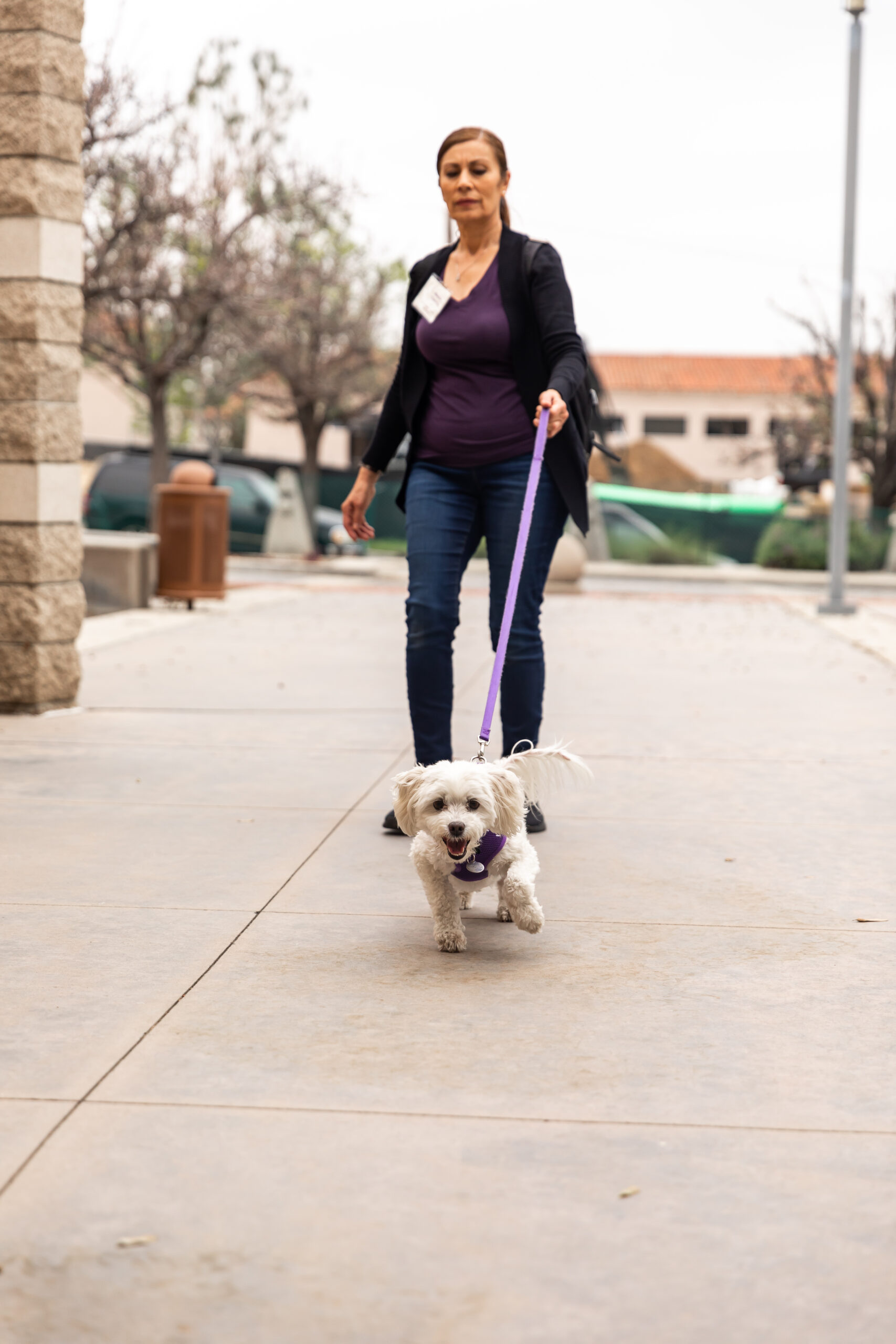 Woman walking small dog on a leash.