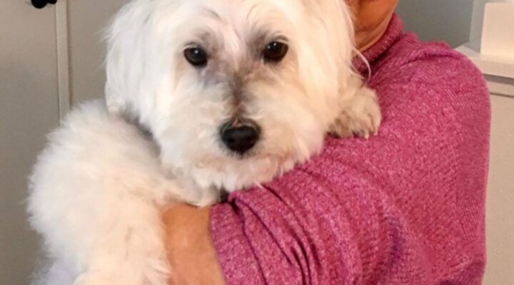 Woman smiling, holding a fluffy white dog.