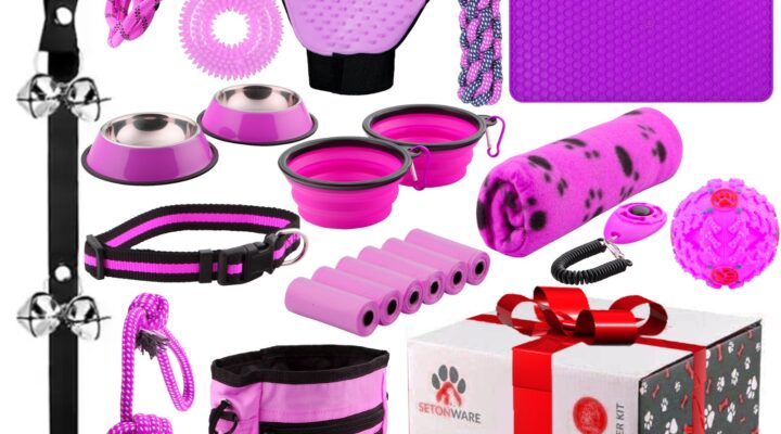 Purple dog accessories and toys collection box.