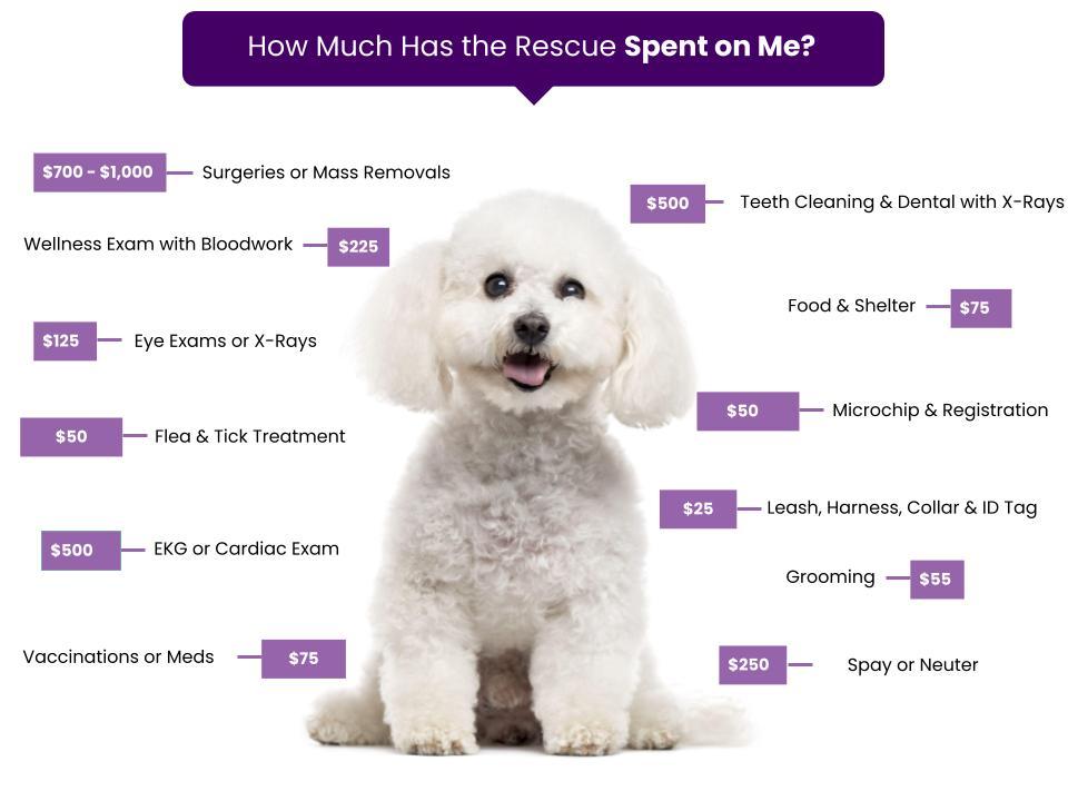 Adoption Fees – Bichon Rescue of Orange County