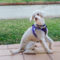 Rudy #501