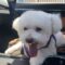 Finnegan #505