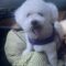 Finnegan #505